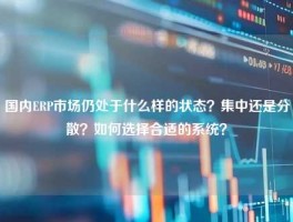 国内ERP市场仍处于什么样的状态？集中还是分散？如何选择合适的系统？