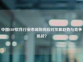 中国ERP软件行业市场如何应对发展趋势与竞争挑战？