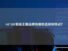 SAP ERP系统主要品牌有哪些选择和特点？