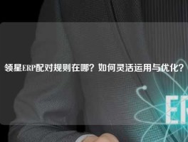 领星ERP配对规则在哪？如何灵活运用与优化？