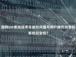 国网ERP系统技术手册如何提升用户操作效率和系统安全性？