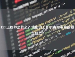 ERP工程师是什么？他们的工作职责和发展前景是什么？