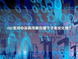ERP系统中采购发票在哪个子系统处理？