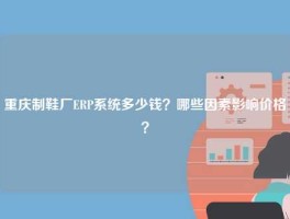 重庆制鞋厂ERP系统多少钱？哪些因素影响价格？