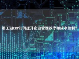 墨工湖ERP如何提升企业管理效率和成本控制？