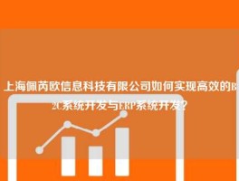 上海佩芮欧信息科技有限公司如何实现高效的B2C系统开发与ERP系统开发？