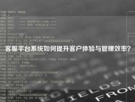 客服平台系统如何提升客户体验与管理效率？