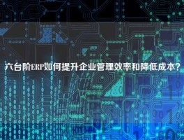 六台阶ERP如何提升企业管理效率和降低成本？