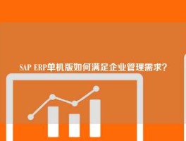 SAP ERP单机版如何满足企业管理需求？