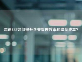 犁讯ERP如何提升企业管理效率和降低成本？