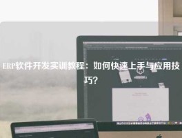 ERP软件开发实训教程：如何快速上手与应用技巧？