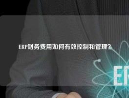 ERP财务费用如何有效控制和管理？
