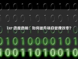 ERP 进度透明：如何提升项目管理效率？