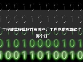 工程成本核算软件有哪些，工程成本核算软件哪个好