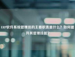 ERP软件系统管理员的主要职责是什么？如何提升其管理技能？