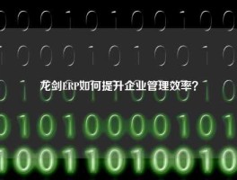 龙剑ERP如何提升企业管理效率？