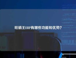 旺销王ERP有哪些功能和优势？