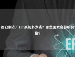 西安制衣厂ERP系统多少钱？哪些因素会影响价格？
