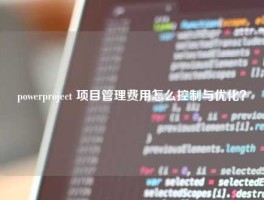 powerproject 项目管理费用怎么控制与优化？