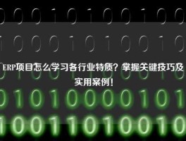 ERP项目怎么学习各行业特质？掌握关键技巧及实用案例！