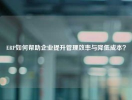 ERP如何帮助企业提升管理效率与降低成本？