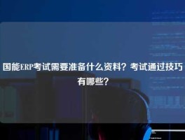 国能ERP考试需要准备什么资料？考试通过技巧有哪些？