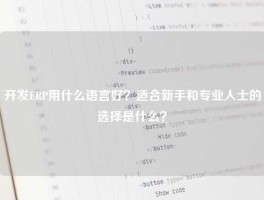 开发ERP用什么语言好？适合新手和专业人士的选择是什么？