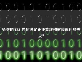 免费的 ERP 如何满足企业管理和资源优化的需求？