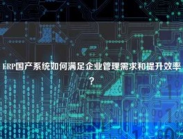 ERP国产系统如何满足企业管理需求和提升效率？