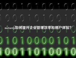 metaerp如何提升企业管理效率和用户体验？