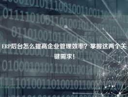 ERP后台怎么提高企业管理效率？掌握这两个关键需求！