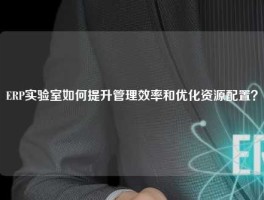 ERP实验室如何提升管理效率和优化资源配置？