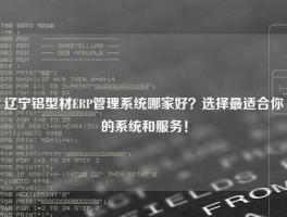 辽宁铝型材ERP管理系统哪家好？选择最适合你的系统和服务！