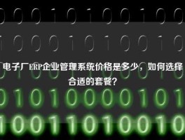 电子厂ERP企业管理系统价格是多少，如何选择合适的套餐？