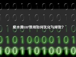 聚水潭ERP费用如何优化与降低？