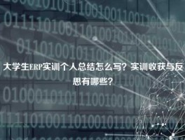 大学生ERP实训个人总结怎么写？实训收获与反思有哪些？