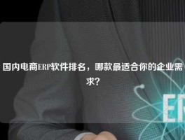 国内电商ERP软件排名，哪款最适合你的企业需求？