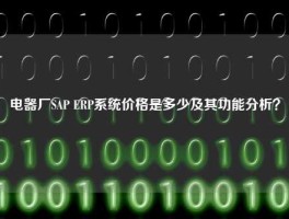 电器厂SAP ERP系统价格是多少及其功能分析？