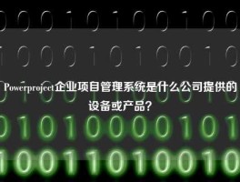 Powerproject企业项目管理系统是什么公司提供的设备或产品？