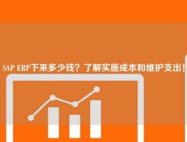 SAP ERP下来多少钱？了解实施成本和维护支出！