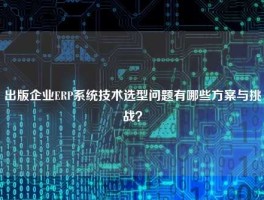 出版企业ERP系统技术选型问题有哪些方案与挑战？