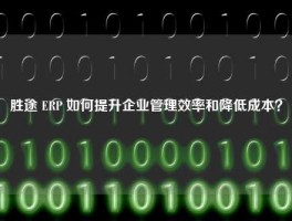 胜途 ERP 如何提升企业管理效率和降低成本？
