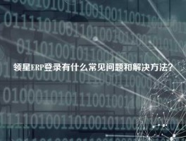 领星ERP登录有什么常见问题和解决方法？