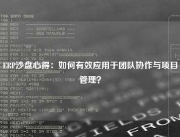 ERP沙盘心得：如何有效应用于团队协作与项目管理？