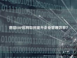 恩信ERP官网如何提升企业管理效率？