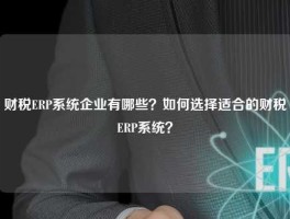 财税ERP系统企业有哪些？如何选择适合的财税ERP系统？
