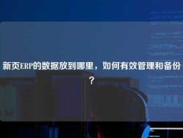 新页ERP的数据放到哪里，如何有效管理和备份？
