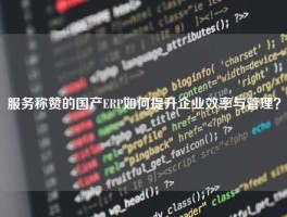 服务称赞的国产ERP如何提升企业效率与管理？