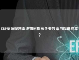 ERP资源规划系统如何提高企业效率与降低成本？