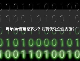 每年ERP费用是多少？如何优化企业支出？
